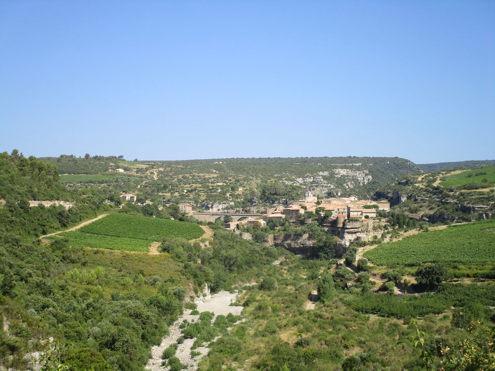 Flèche
              Abeille de Perpignan