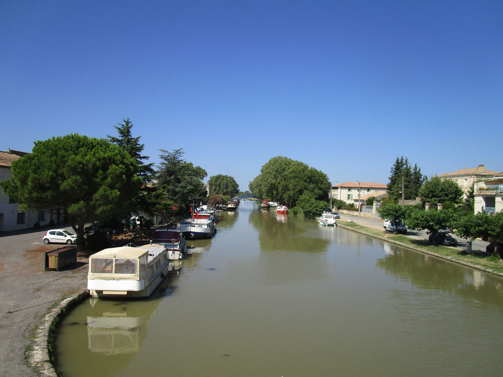 Flèche
              Abeille de Perpignan