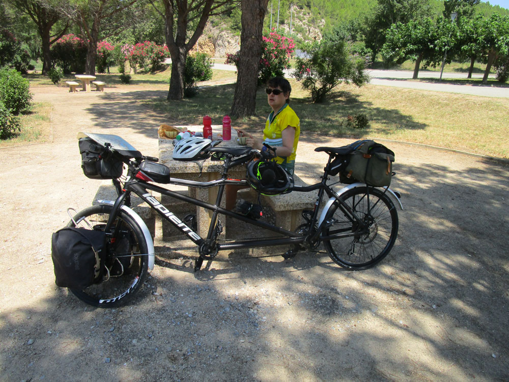 Flèche
              Abeille de Perpignan