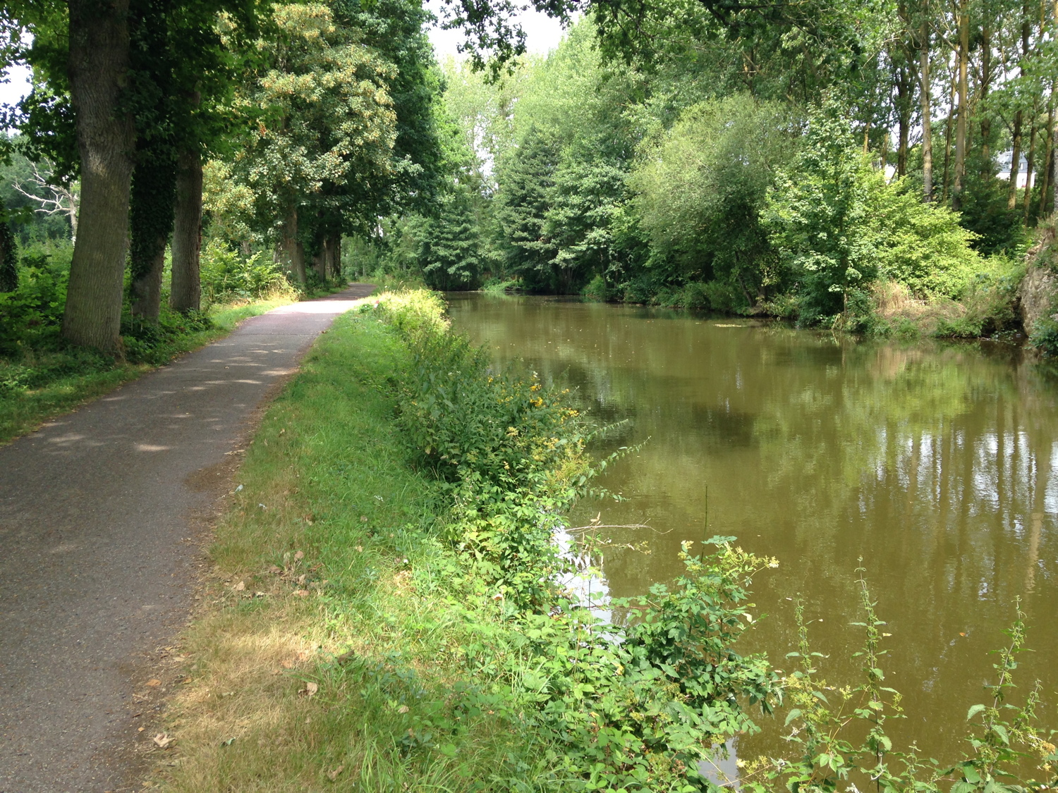 Un tronçon de
          plat à l'ombre