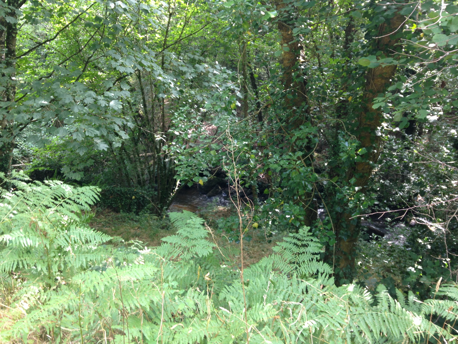 Rivière
          Trieux