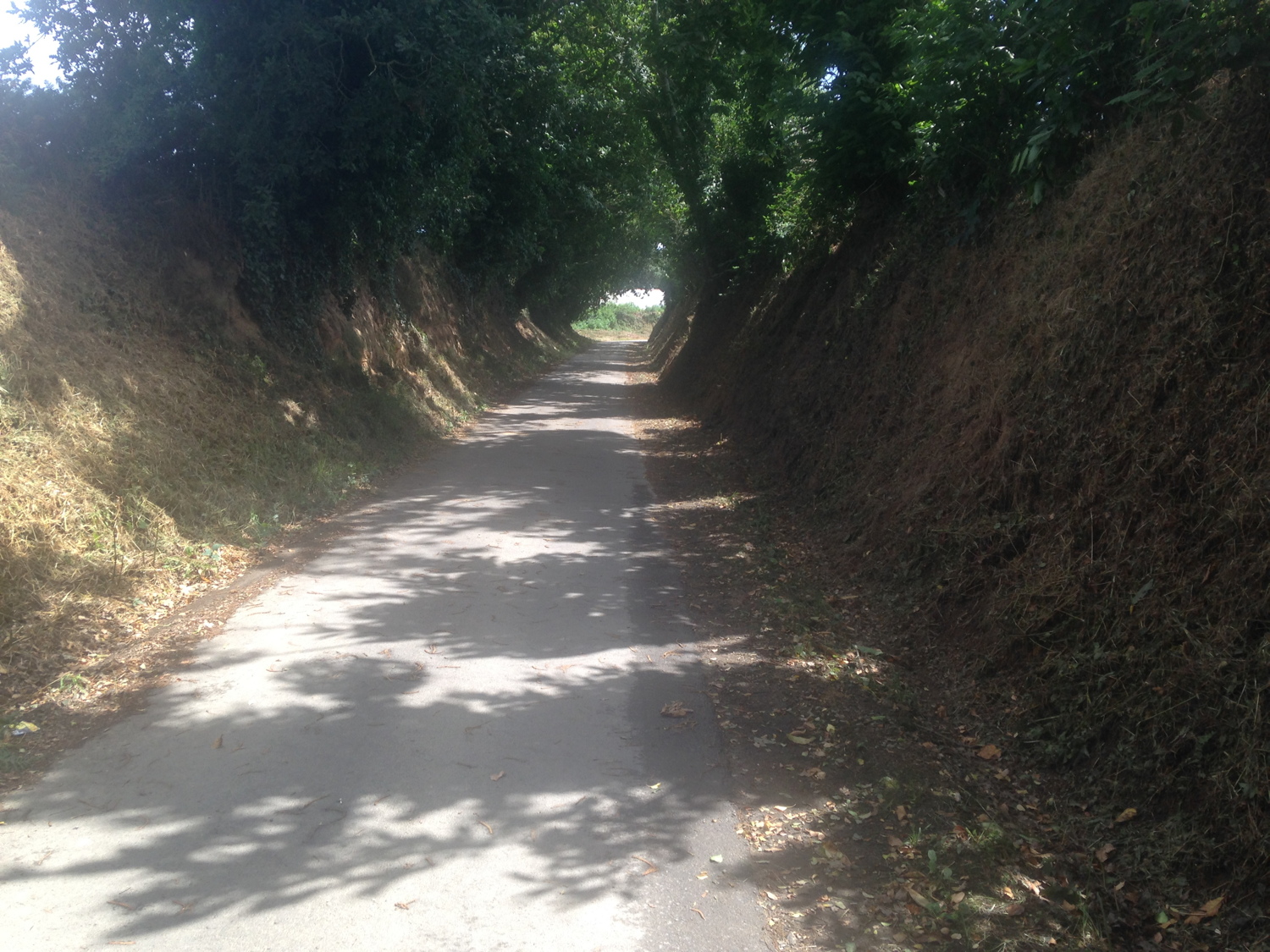 Eurovélo route
          4