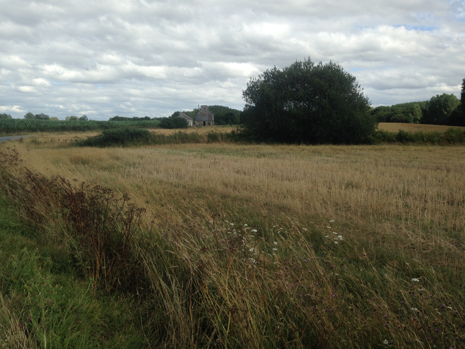 Encore une
          belle maison Bretonne