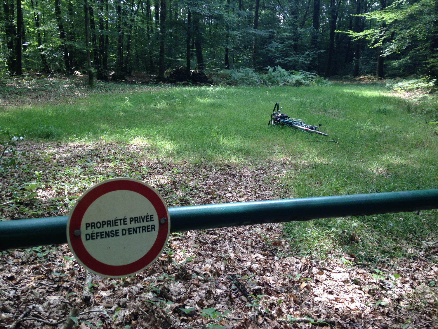 En forêt de Paimpont, on trouve un vélo désobéissant
