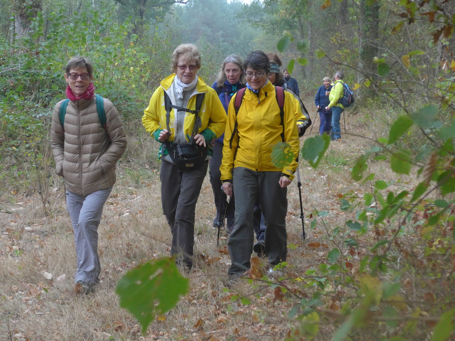 Vélomarchette en Sologne
