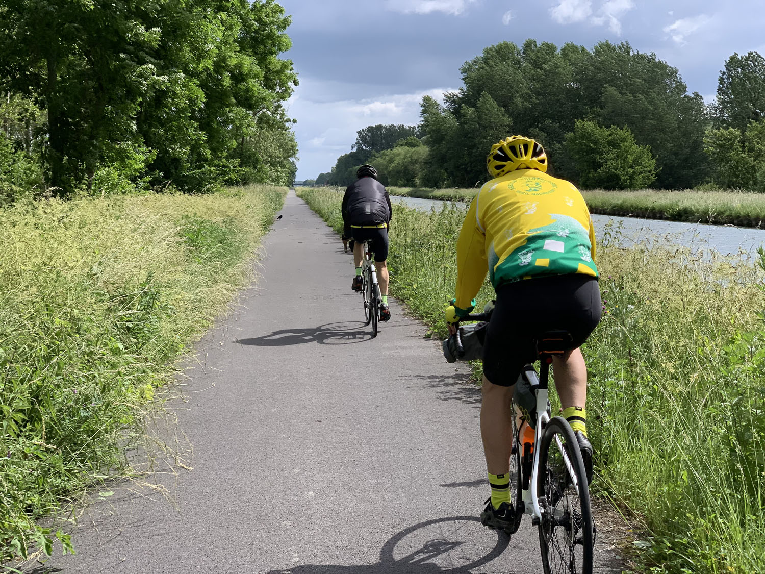 Abeille
              BRM 600