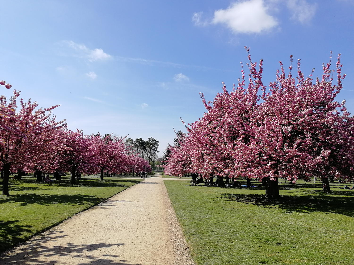 Sortie Abeille 'Les Grands Parcs'