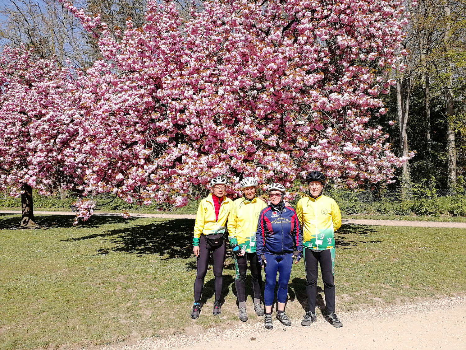 Sortie Abeille 'Les Grands Parcs'