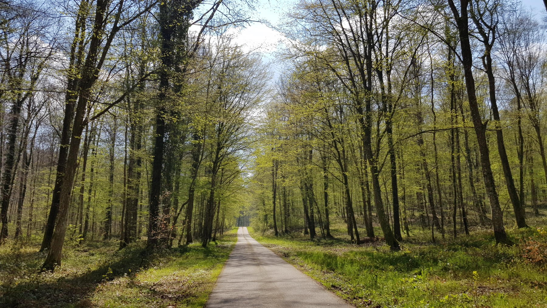 La campagne
            normande