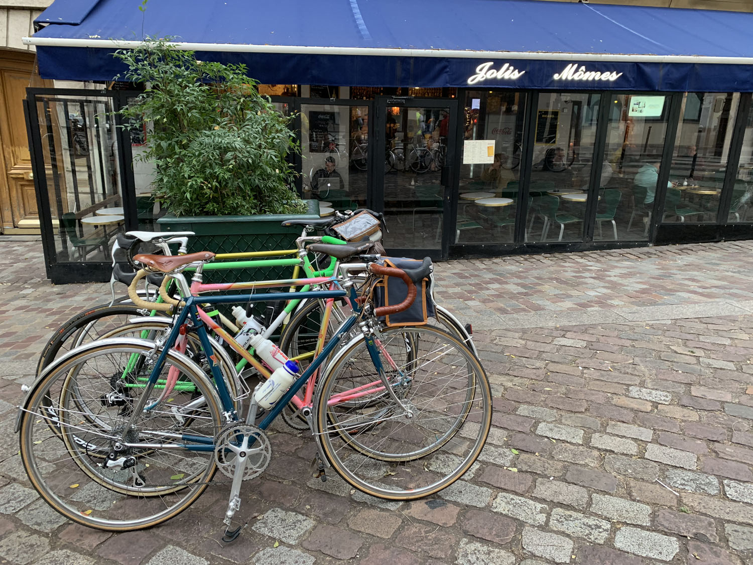 Sorties Abeille de janvier