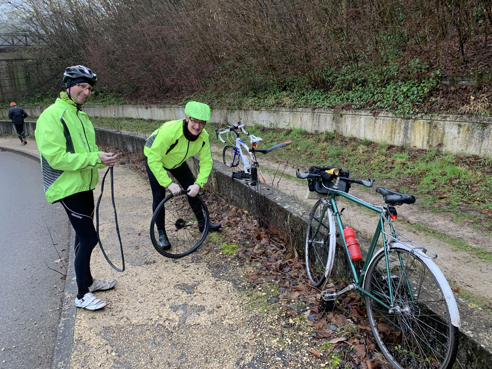 Sorties Abeille de janvier