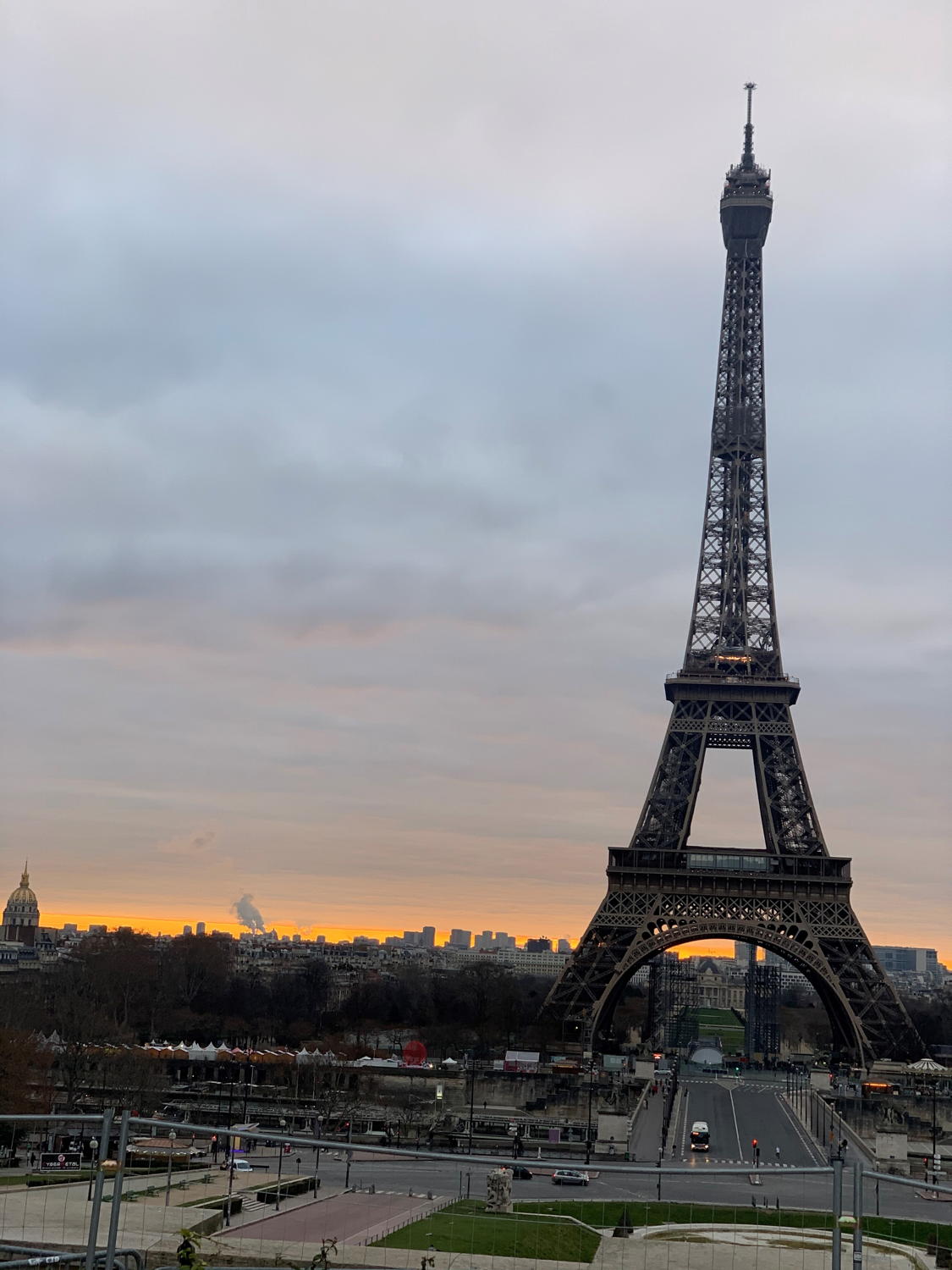 Sorties Abeille de janvier