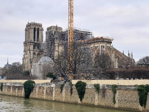 Sorties Abeille de janvier