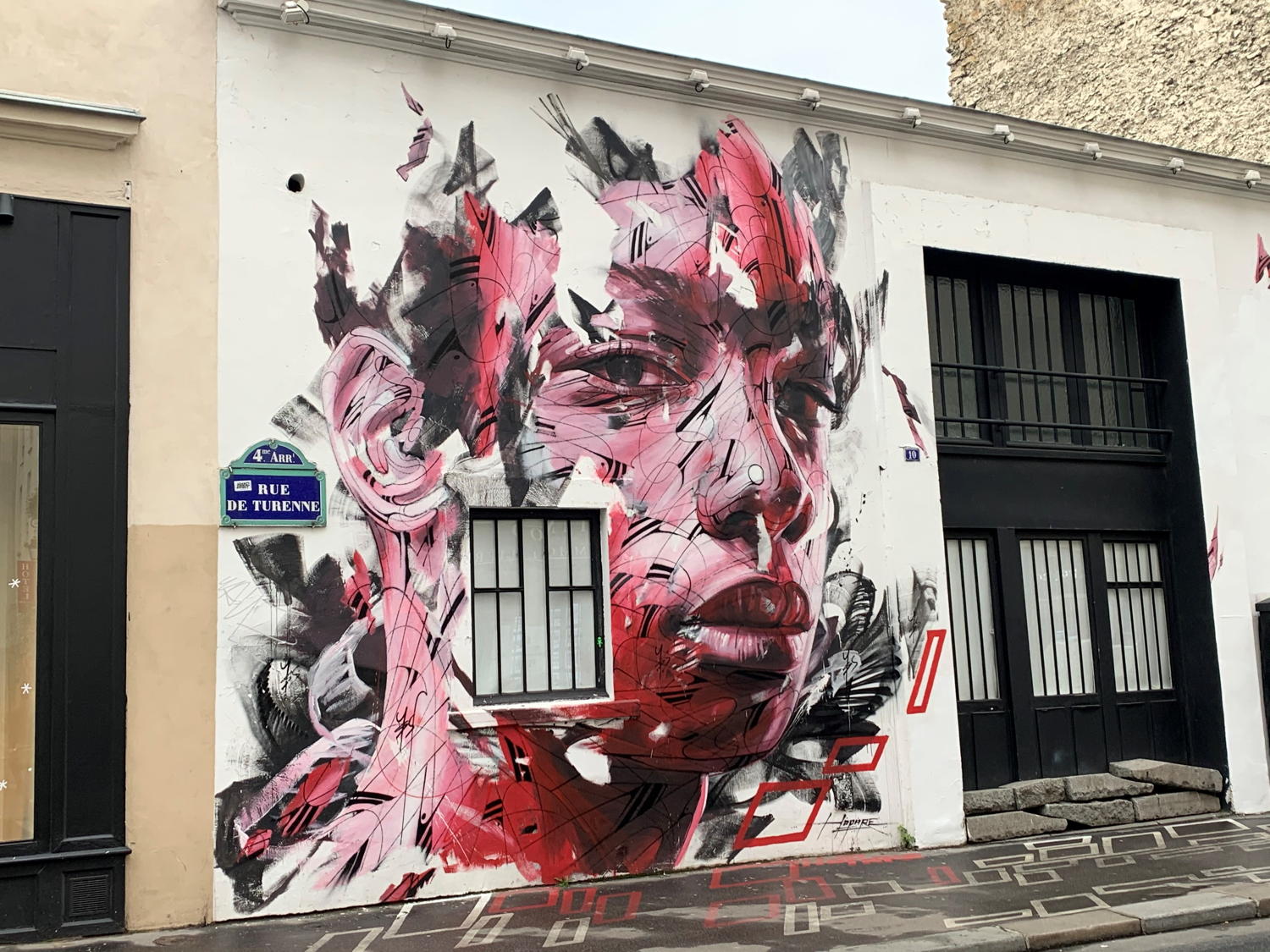 Sorties Abeille de janvier