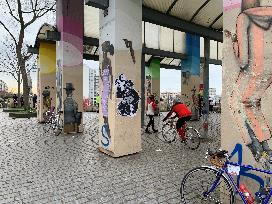 Sorties Abeille de
                    janvier