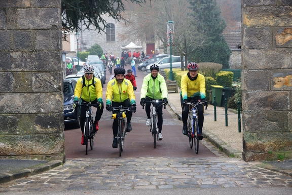 Sorties Abeille de janvier