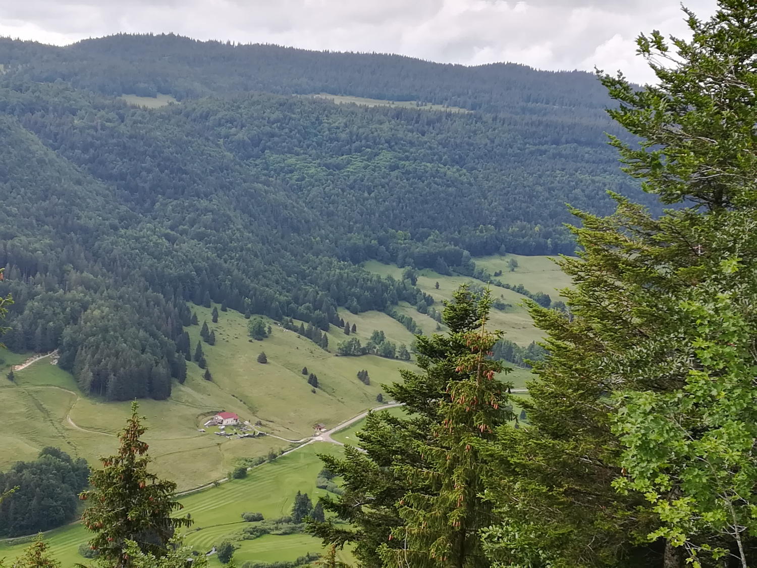 Vallée de la
              Valserine