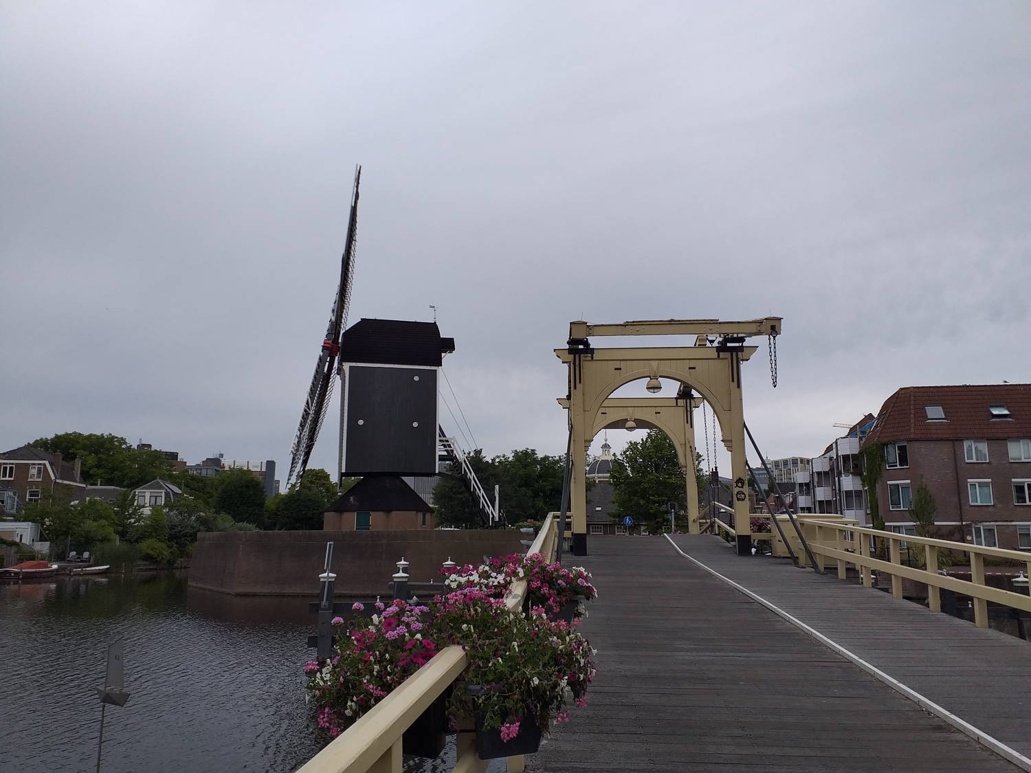 Photo de Sejour en Hollande