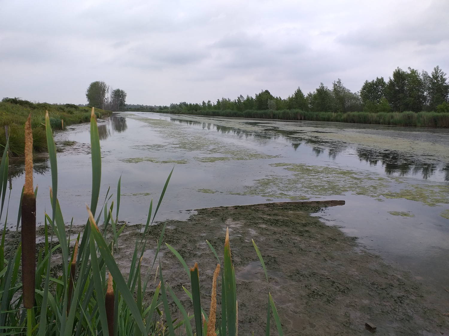 Photo de Sejour en Hollande