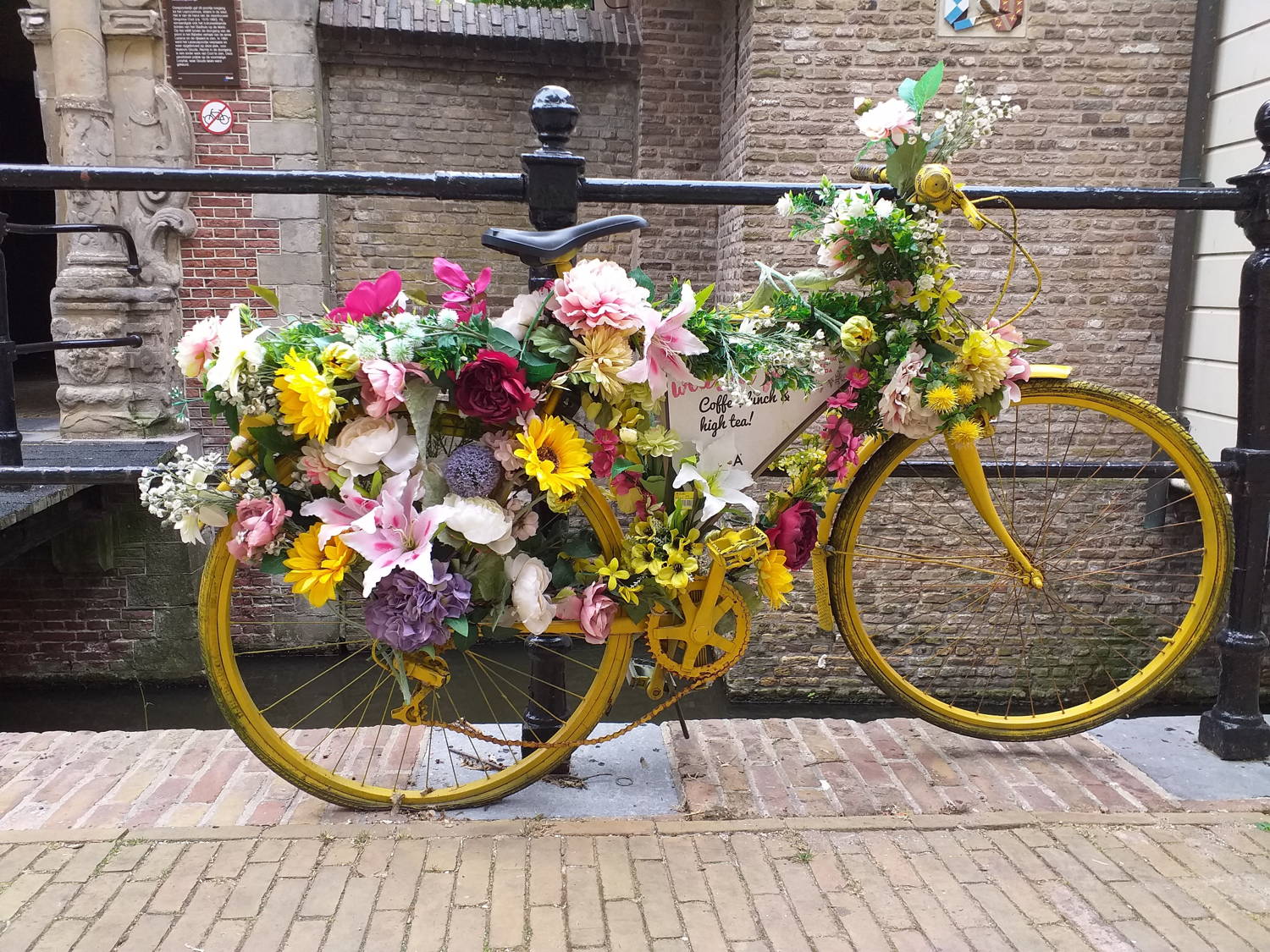 Photo de Sejour en Hollande