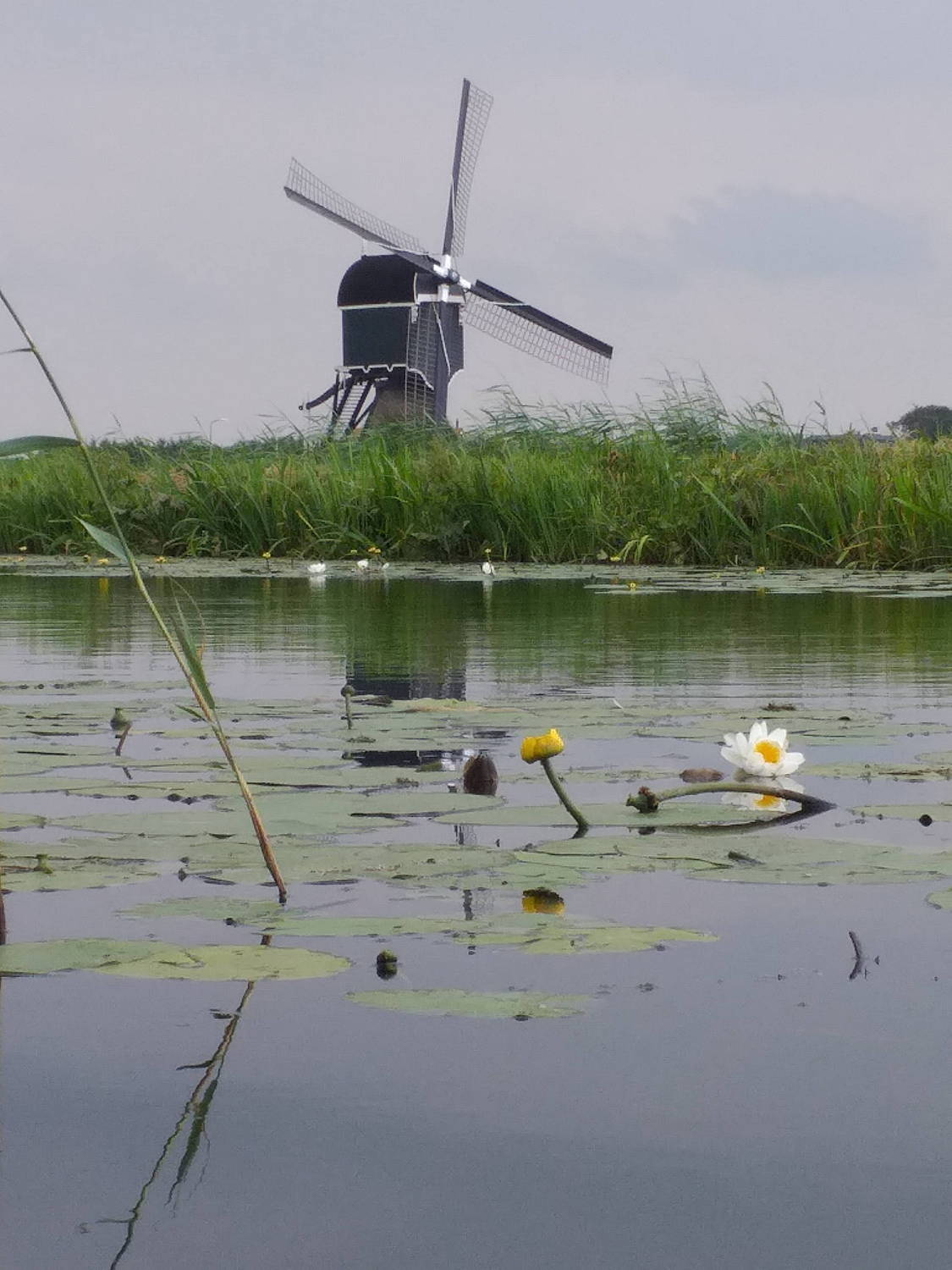 Photo de Sejour en Hollande