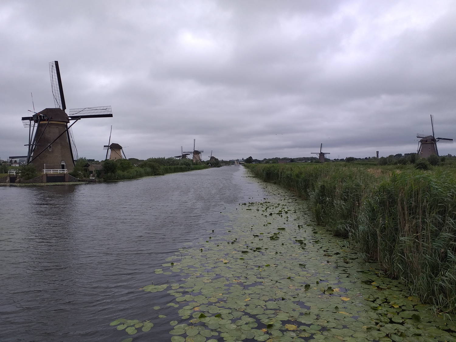 Photo de Sejour en Hollande