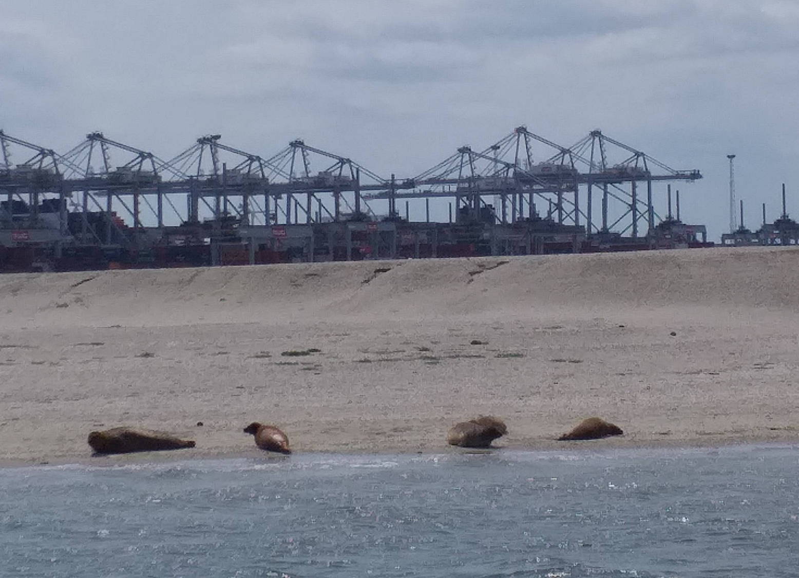 Photo de Sejour en Hollande