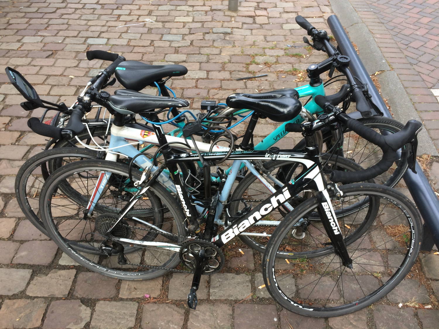 Photo de Sejour en Hollande