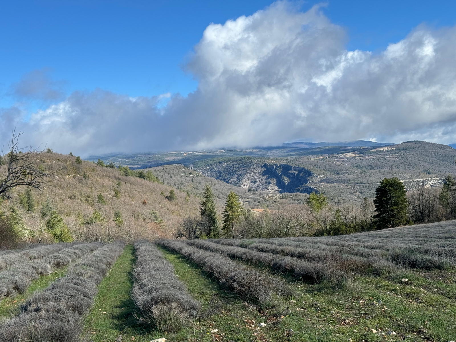 P&acirc;ques en Provence