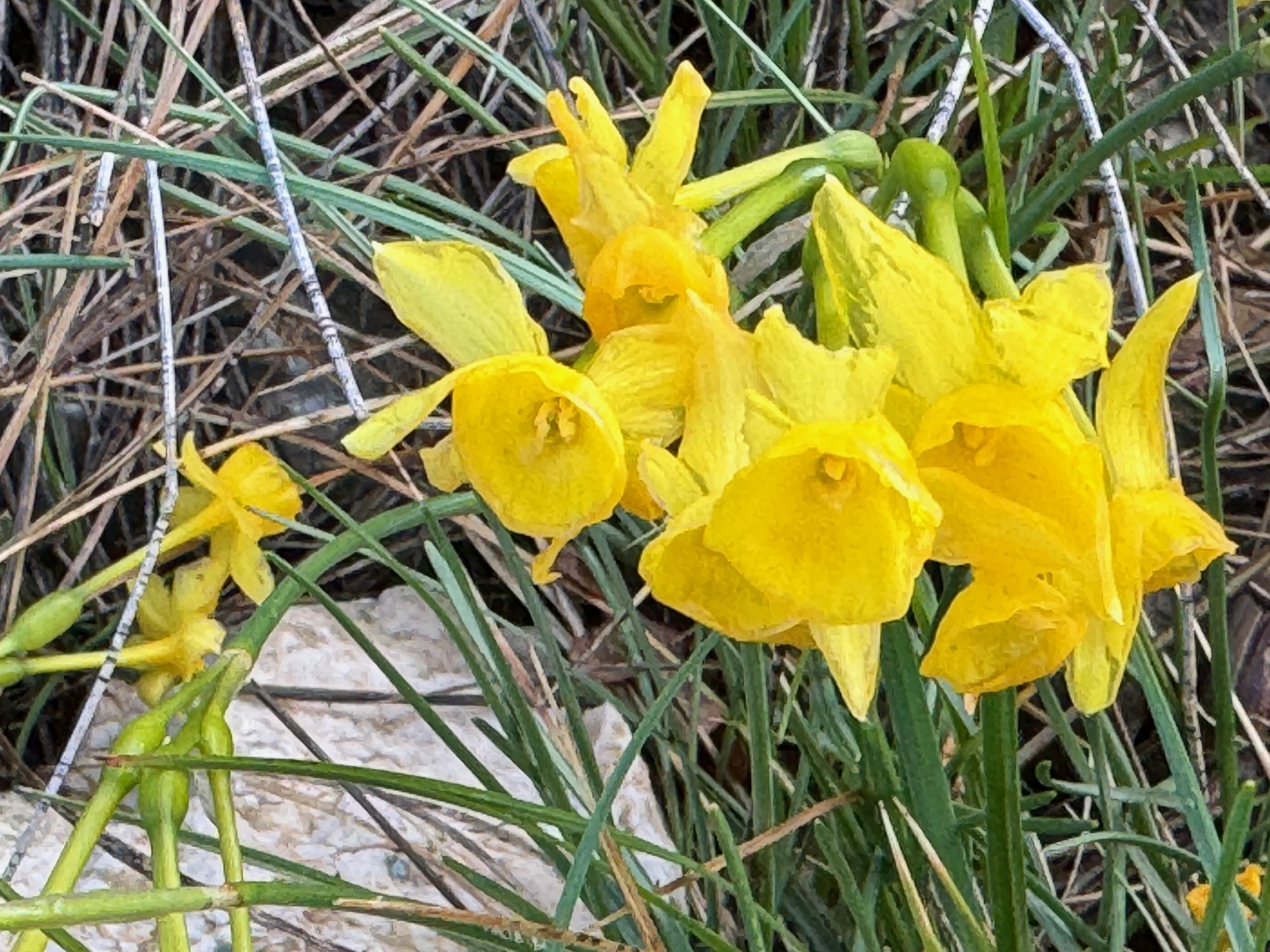 P&acirc;ques en Provence