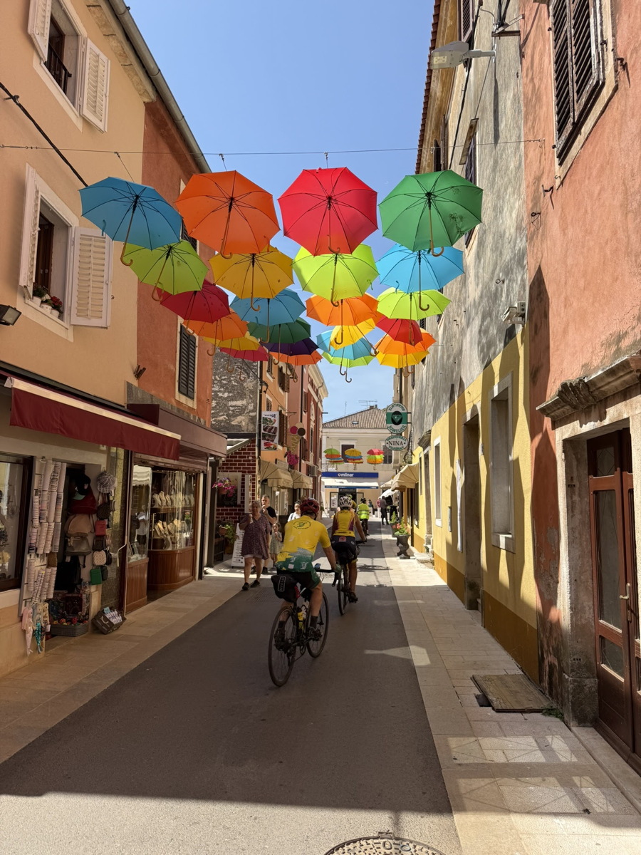 Voyage Abeille
              en Croatie