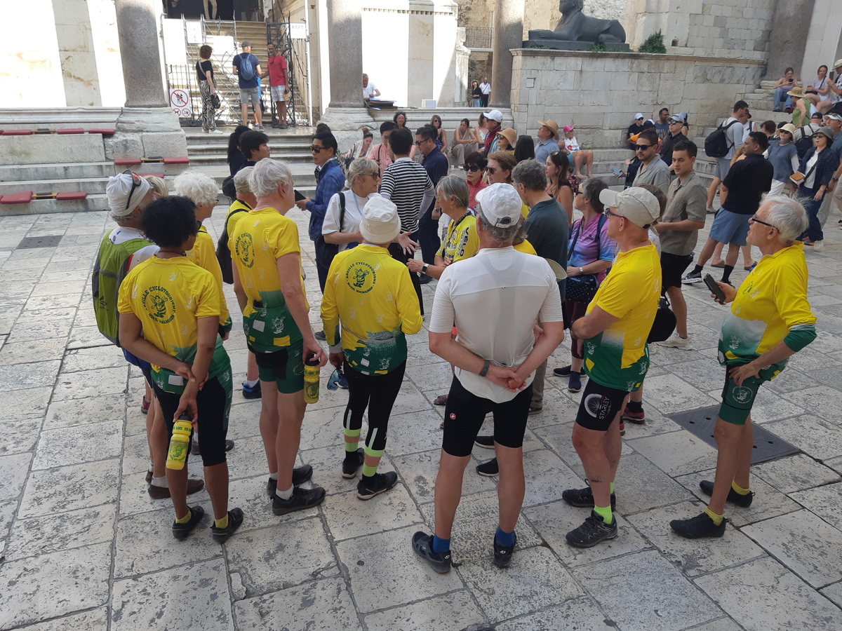 Semaine
              Abeille en Croatie