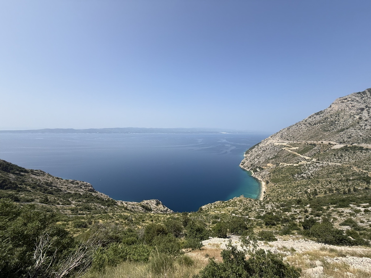 Semaine
              Abeille en Croatie