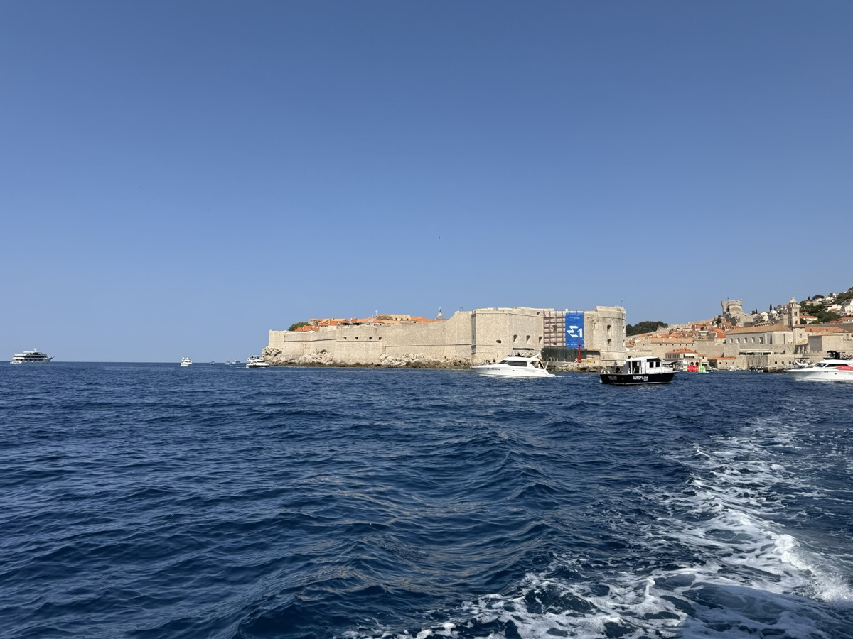 Semaine
              Abeille en Croatie