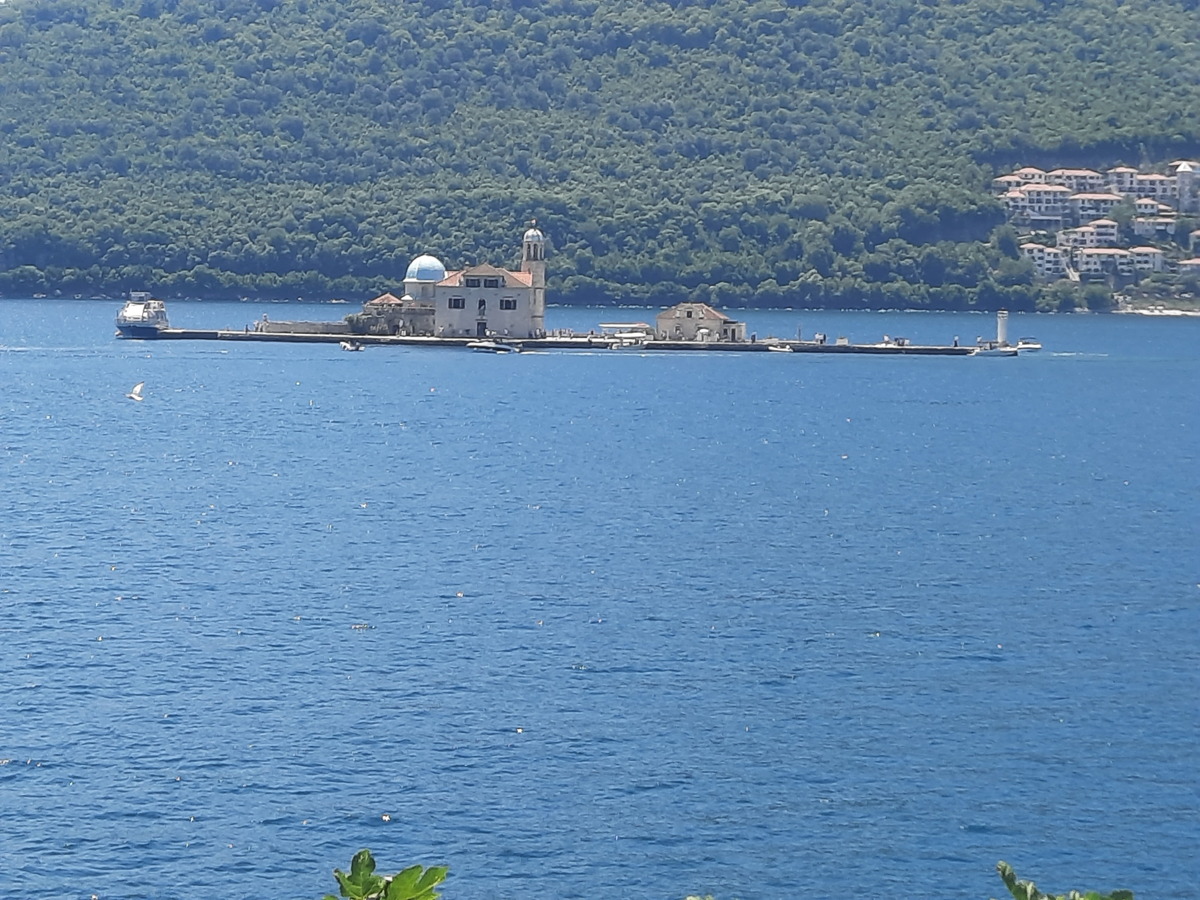 Semaine
              Abeille en Croatie