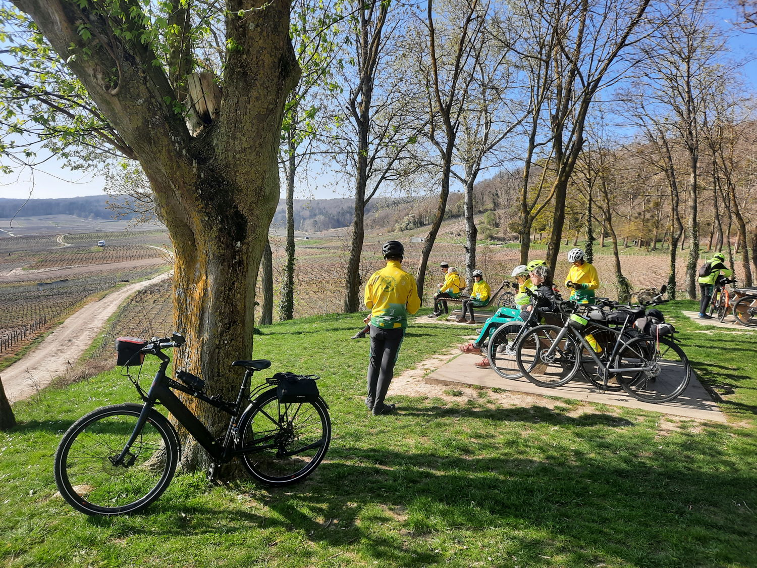S&eacute;jour Abeille