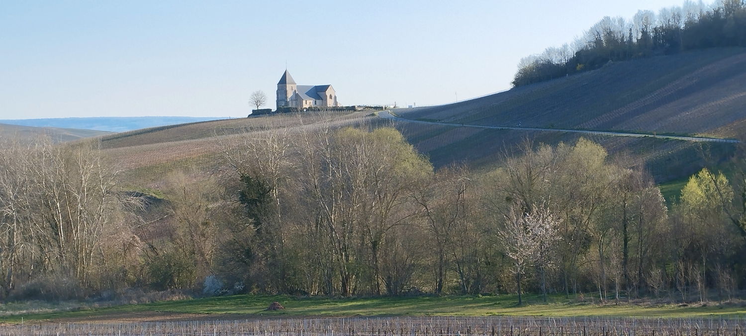 S&eacute;jour Abeille