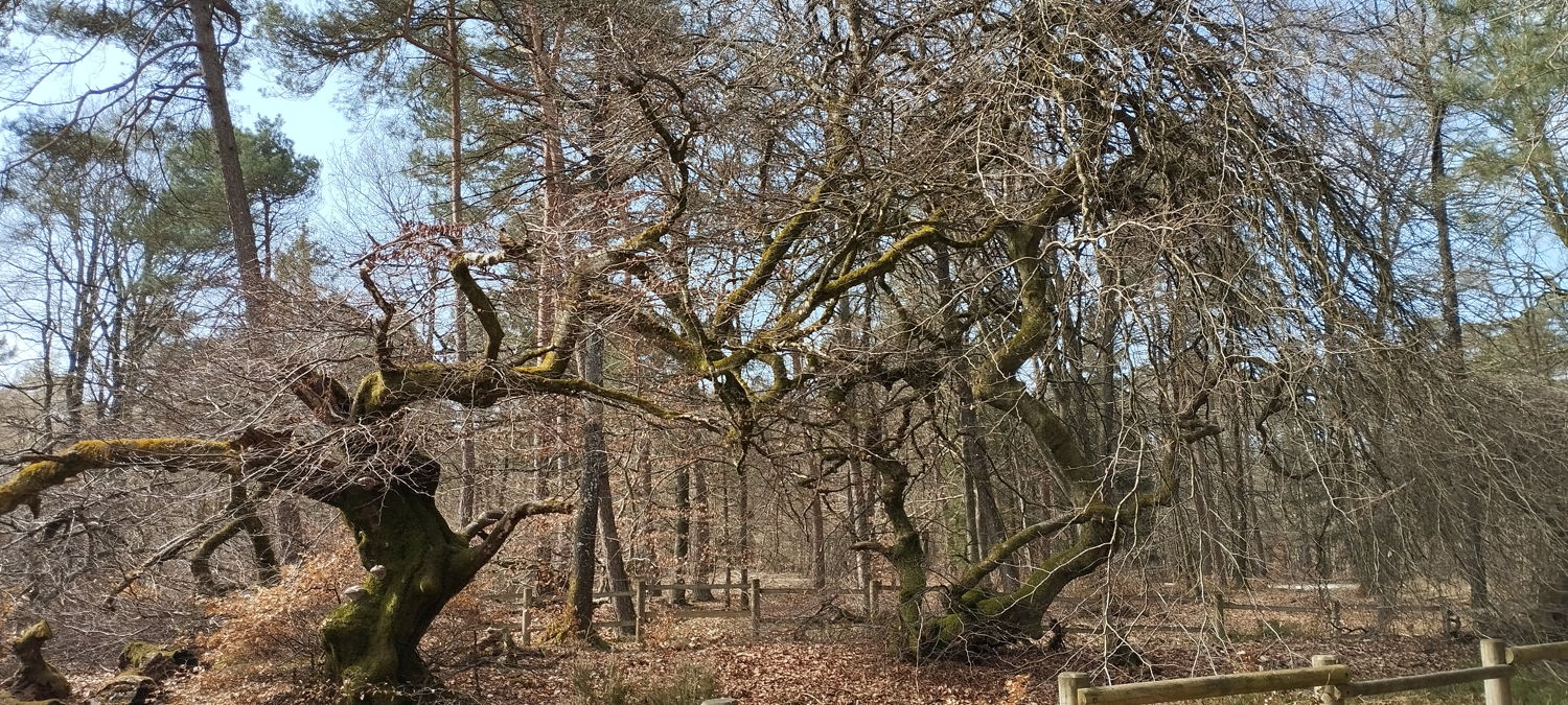 S&eacute;jour &agrave; Epernay