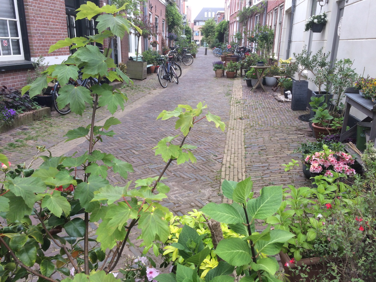 Séjour en Hollande septentrionale