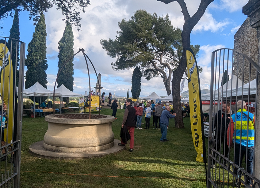 Fl&egrave;che Velocio Abeille